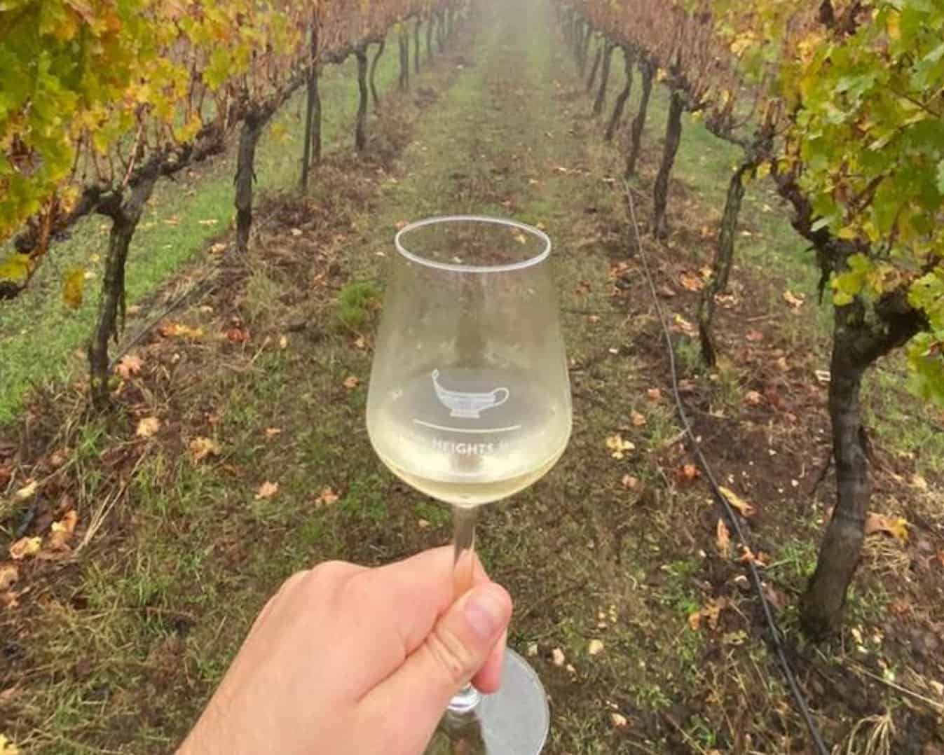 סיור VIP ביקב רמת הגולן