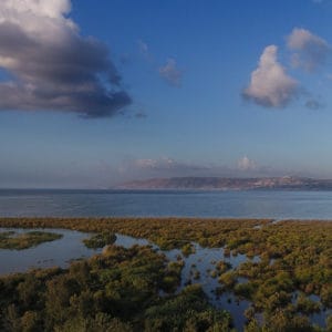 שייט קיאקים בסאוונה הישראלית שייט קיאקים בסאוונה הישראלית