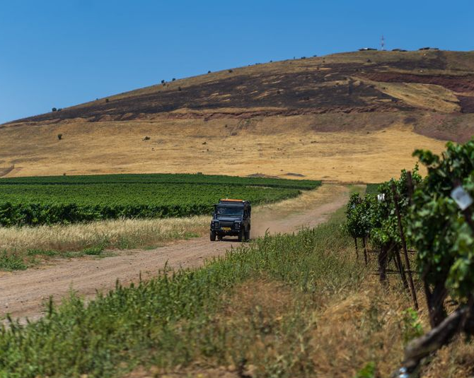 טיול ג'יפים בנופי וכרמי הגולן