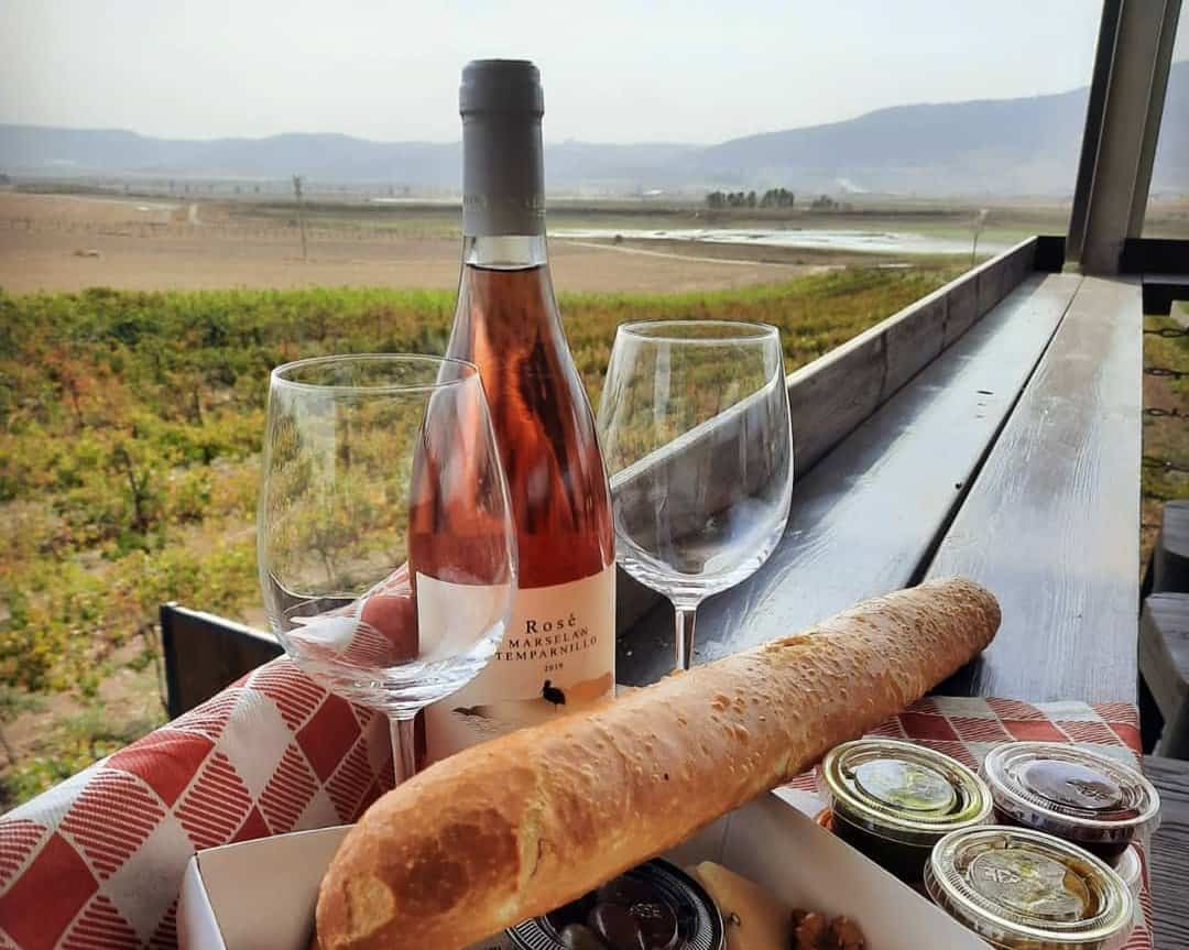 סיור טעימות יין ביקב 