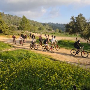 טיול ביער עמינדב עם תומקאר ואופניים טיול ביער עמינדב עם תומקאר ואופניים