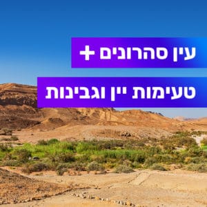 טיול מודרך בעין סהרונים ונחל נקרות טיול מודרך בעין סהרונים ונחל נקרות
