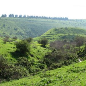 טיול בטבע בנופי הגליל טיול בטבע בנופי הגליל
