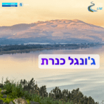 ג'ונגל כנרת 19.8 ג'ונגל כנרת 19.8