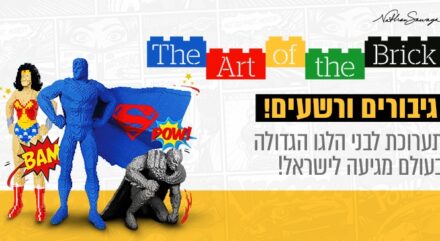 תערוכות