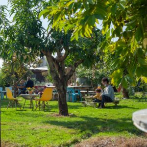 מהאדמה, מהים, מהיצרנים הקטנים הטובים בישראל מהאדמה, מהים, מהיצרנים הקטנים הטובים בישראל