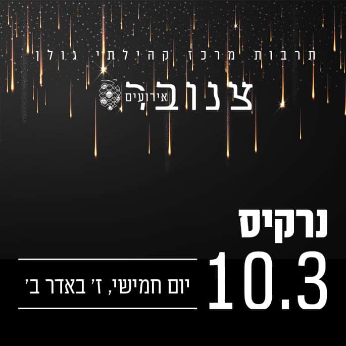 מופעי חורף בגולן 2021-22 נרקיס