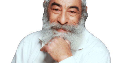 אריאל זילבר