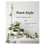 Plant Style: How to Greenify Your Space Plant Style: How to Greenify Your Space