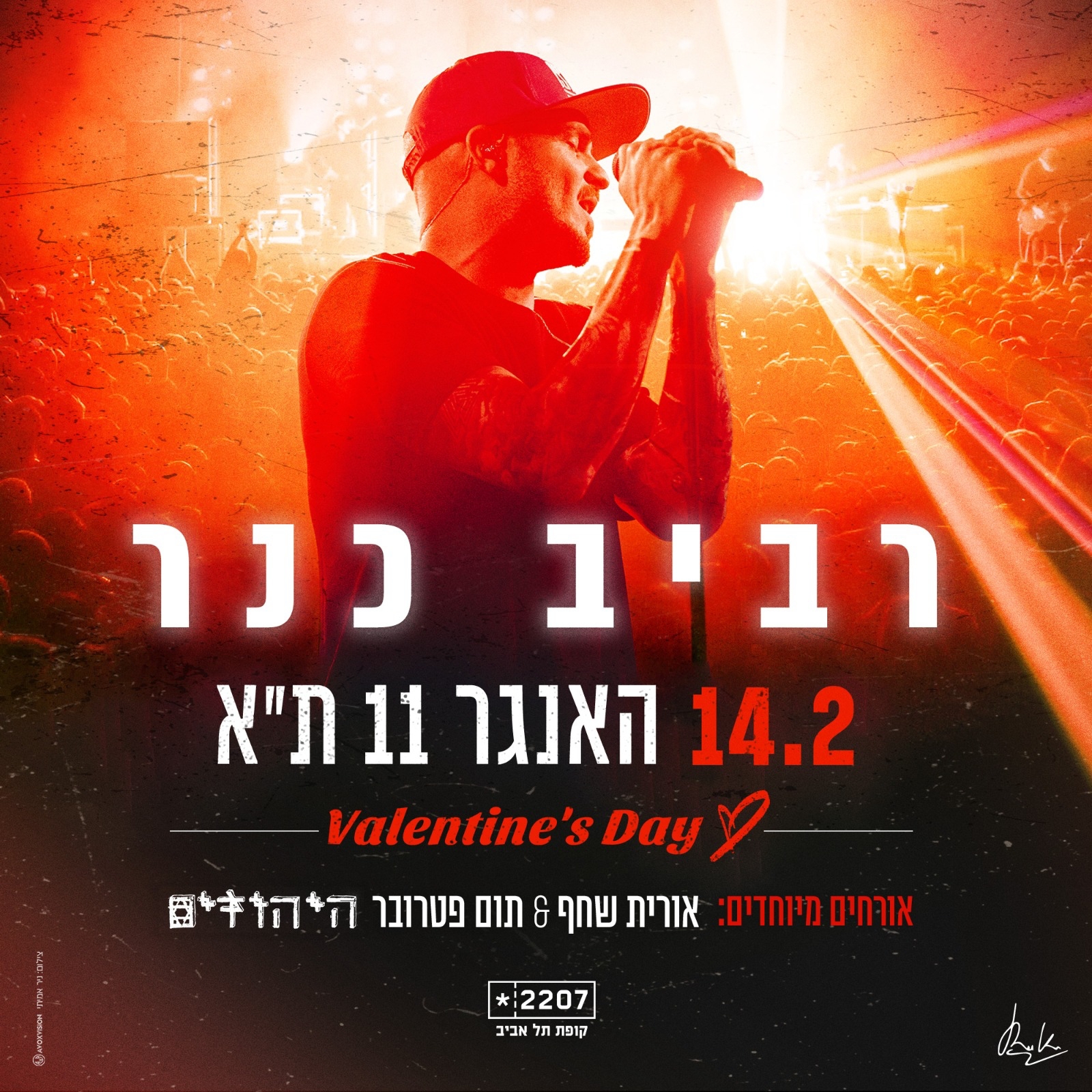 רביב כנר בהופעה