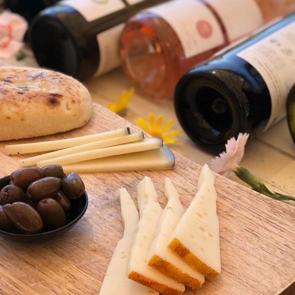 סיור משודרג - 4 יינות ופלטת גבינות ביקב גוש עציון