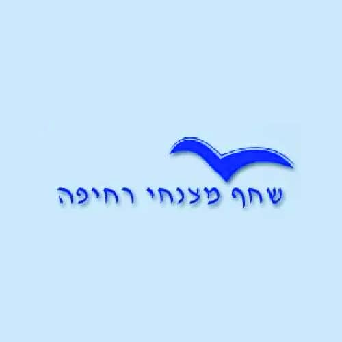 טיסה במצנח רחיפה ליחיד  שחף מצנחי רחיפה