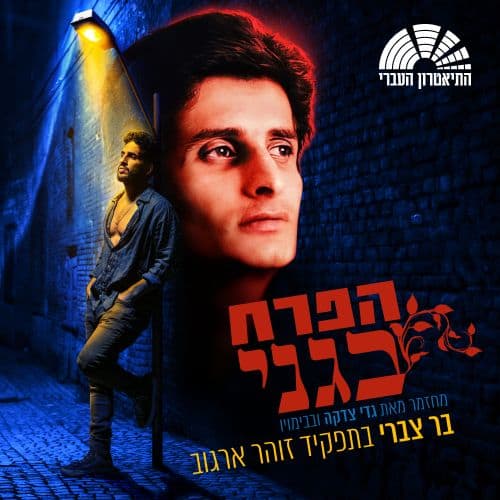 כרטיס למופע - הפרח בגני - מחזמר בכיכובו של בר צברי