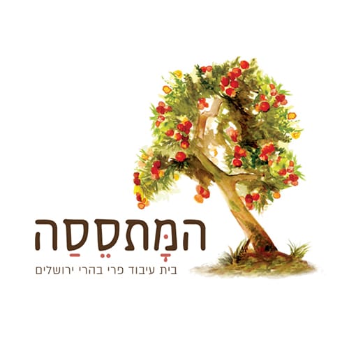 כרטיס לזוג - סיור במתססה