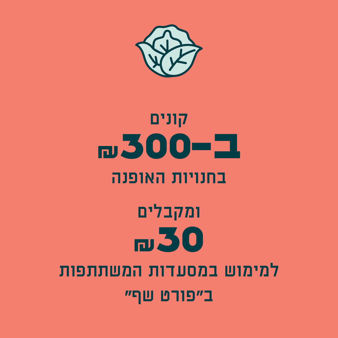 תמונה 2