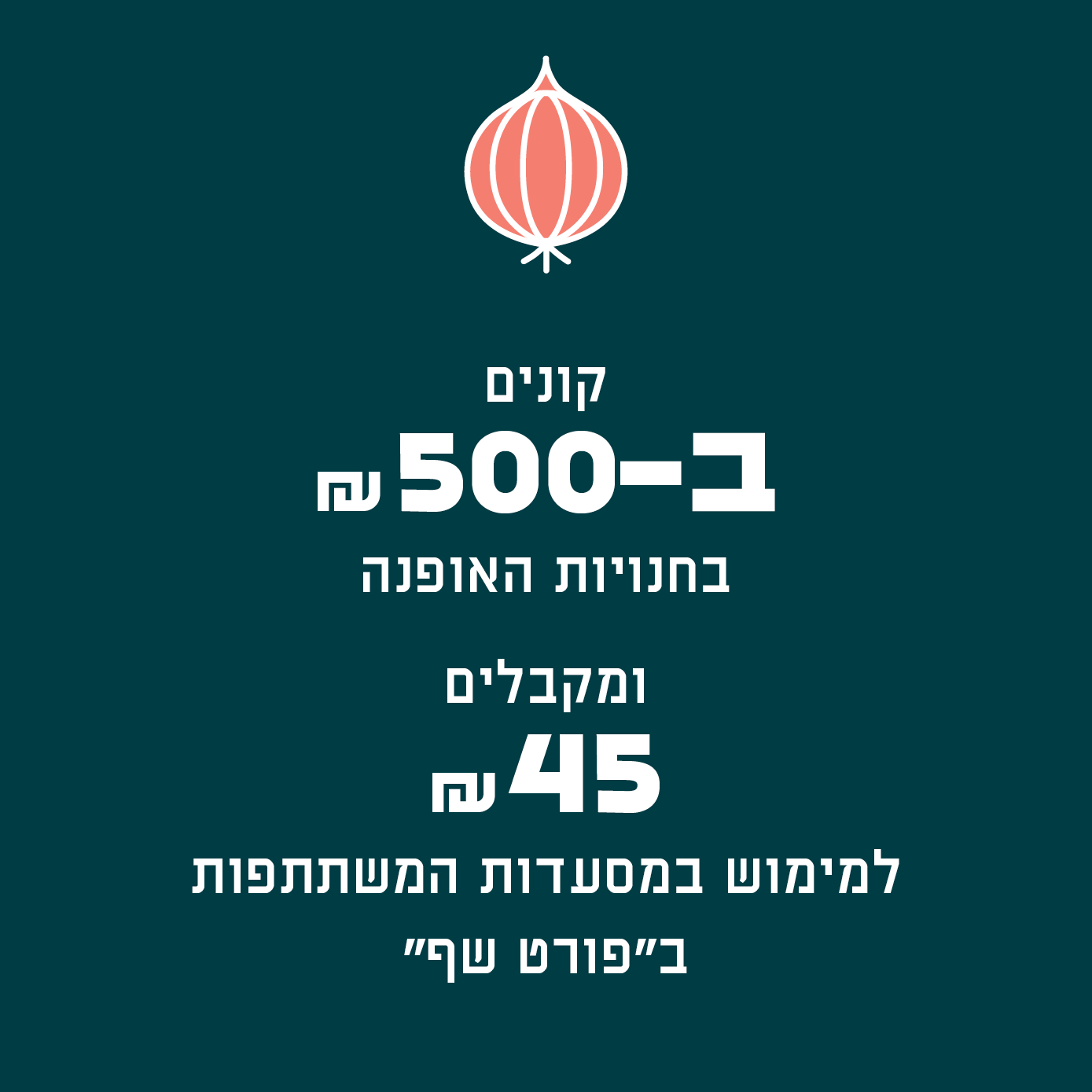 תמונה 3