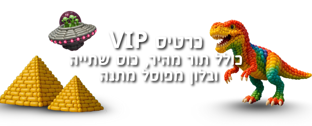https://www.to-mix.co.il/wp-content/uploads/2025/06/בלון-סטורי-מסע-בזמן-כרטיס-VIP.png