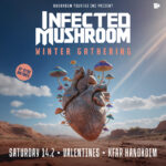כרטיס לאירוע - Winter Gathering - Infected Mushroom 26