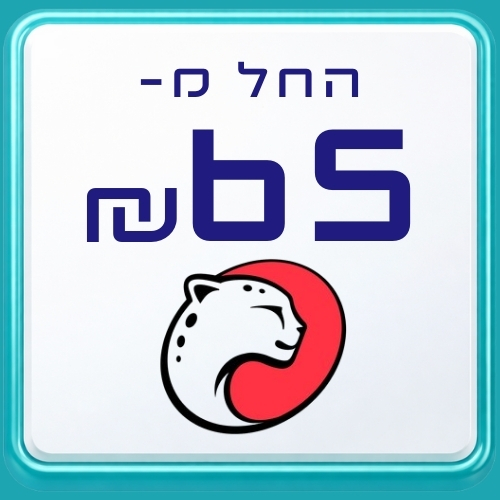 פלייטיקה