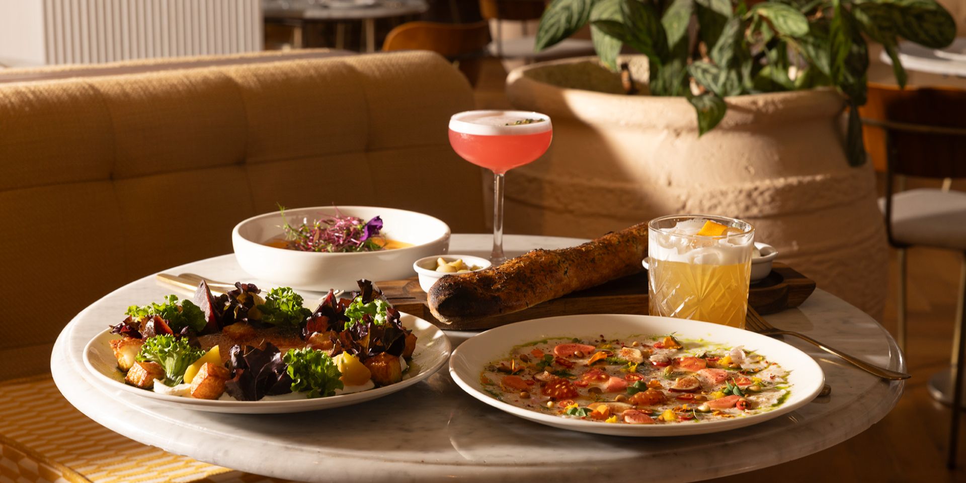 שובר ארוחה לסועד במסעדת ביאנקה אילת